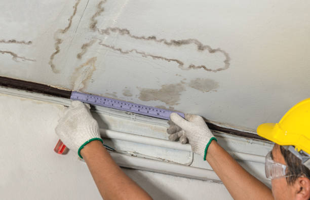 Reliable Structural Drying contractor in Milledgeville, IL by Water Damage Irwin